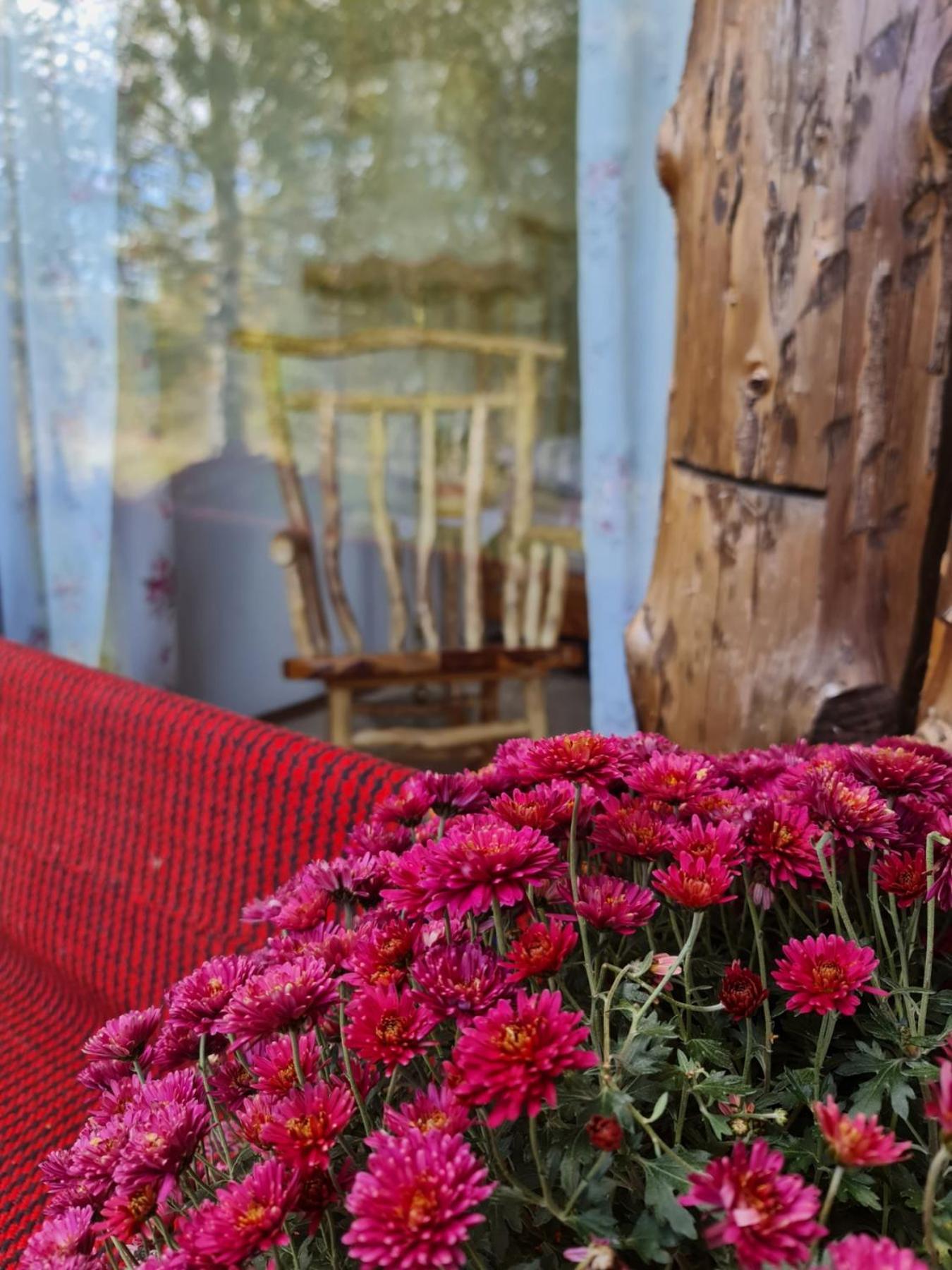 Ethno Village Montenegro Brezna Plužine Εξωτερικό φωτογραφία
